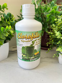 Chlorophyll Juice