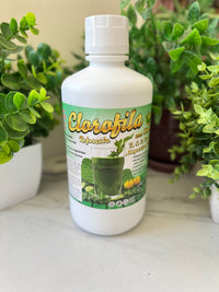 Chlorophyll Juice